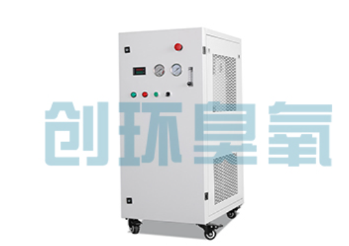 南京石斑鱼养殖水质调控完整指南：臭氧发生器配置与操作步骤