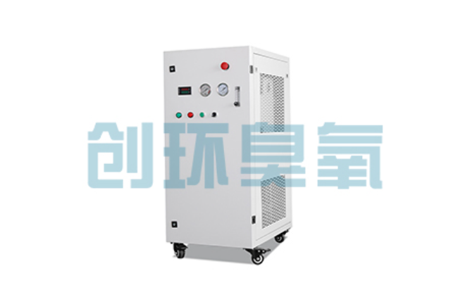 南京比传统换水更高效？臭氧发生器在石斑鱼养殖中的水质净化原理解析