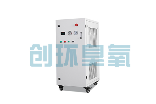 南京比传统换水更高效？臭氧发生器在石斑鱼养殖中的水质净化原理解析